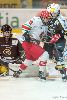 22.02.2013-( Kärpät Oulu (FIN) - Modo Hockey (SWE) ) kuva: 35