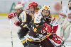 22.02.2013-( Kärpät Oulu (FIN) - Modo Hockey (SWE) ) kuva: 4