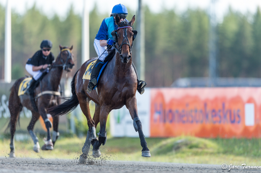 21.6.2013 - (Juhannusravit Vieremä)