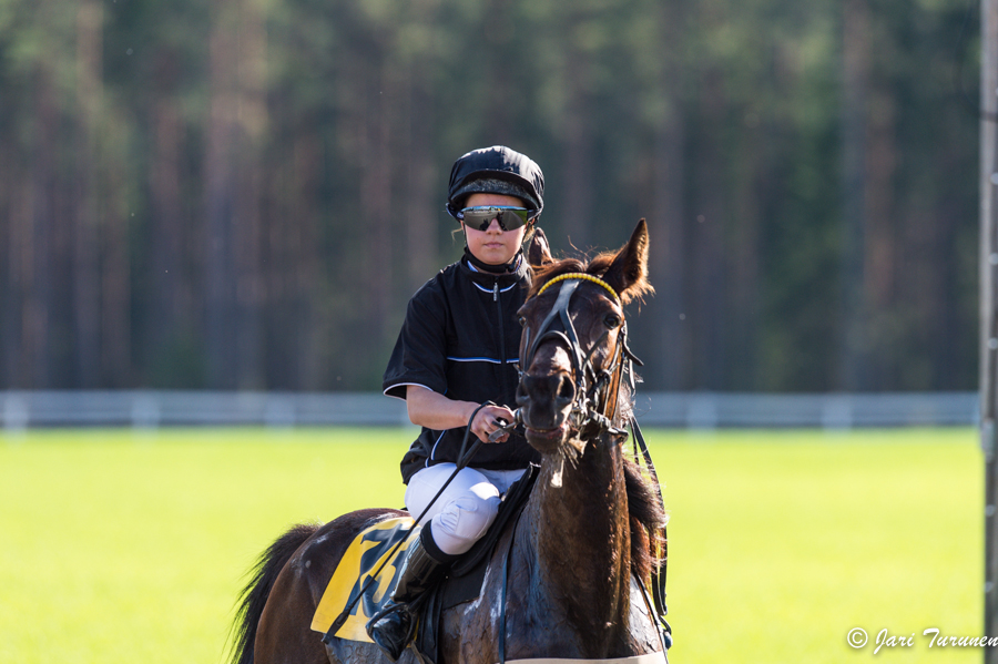 21.6.2013 - (Juhannusravit Vieremä)