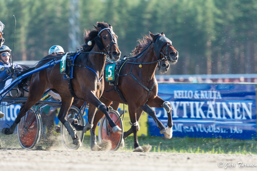 21.6.2013 - (Juhannusravit Vieremä)