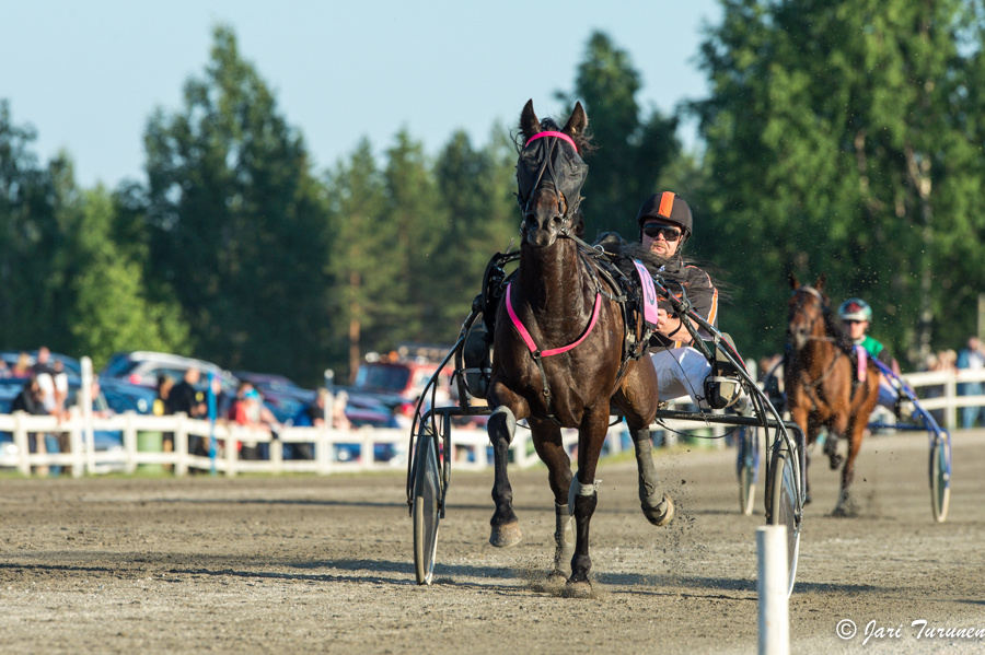 21.6.2013 - (Juhannusravit Vieremä)