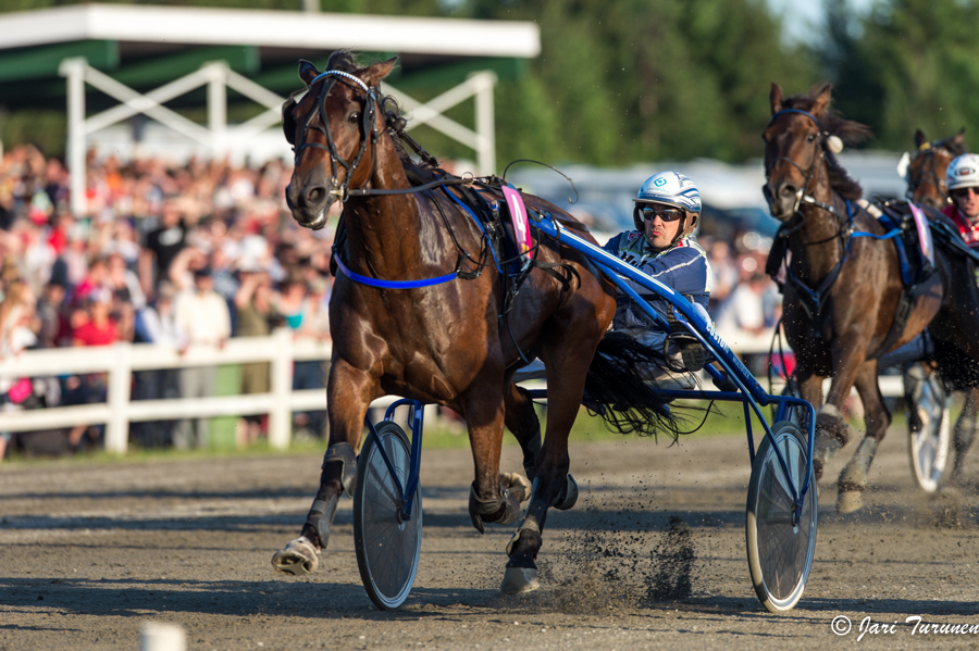 21.6.2013 - (Juhannusravit Vieremä)
