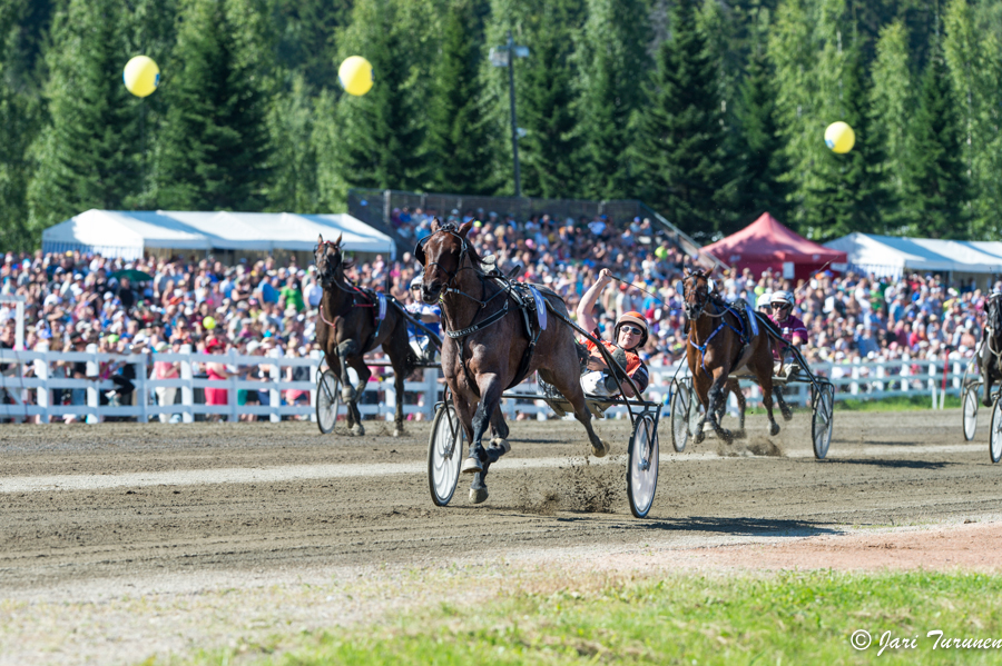 27.7.2013 - (Kuninkuusravit)