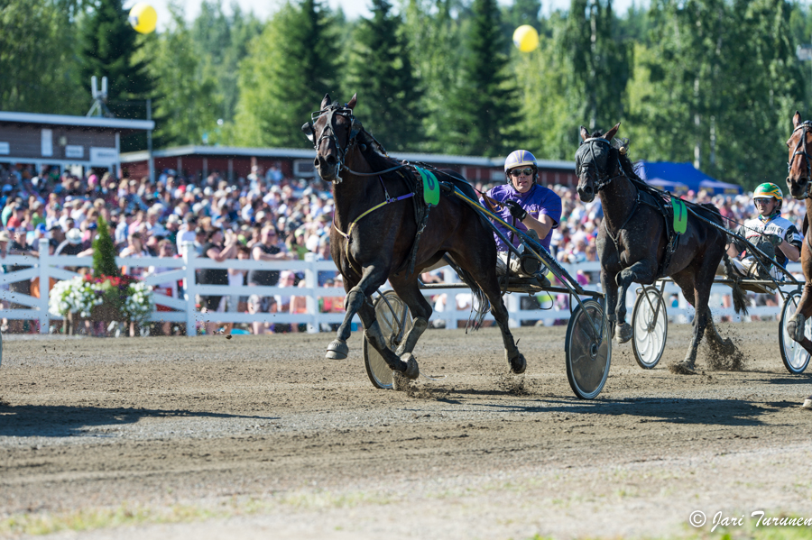 27.7.2013 - (Kuninkuusravit)