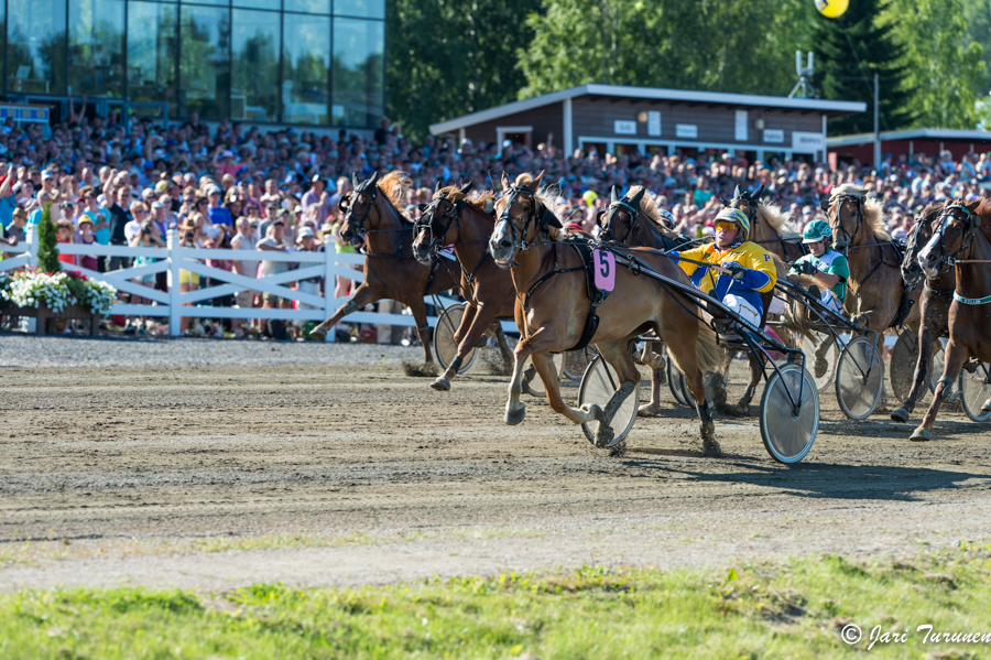 27.7.2013 - (Kuninkuusravit)