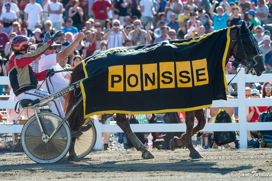 27.7.2013 - (Kuninkuusravit)