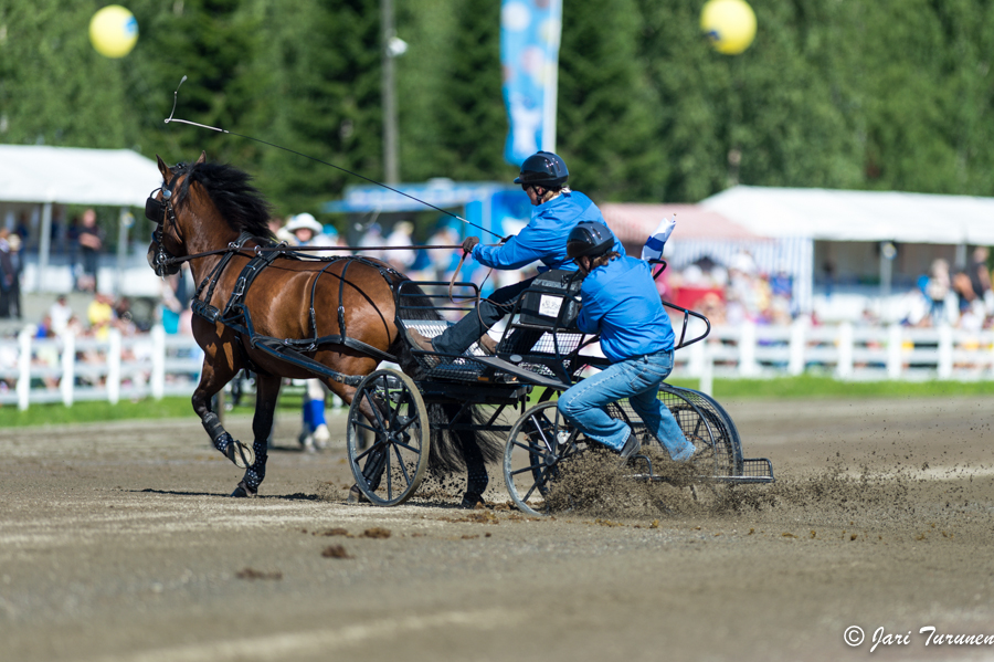 27.7.2013 - (Kuninkuusravit)