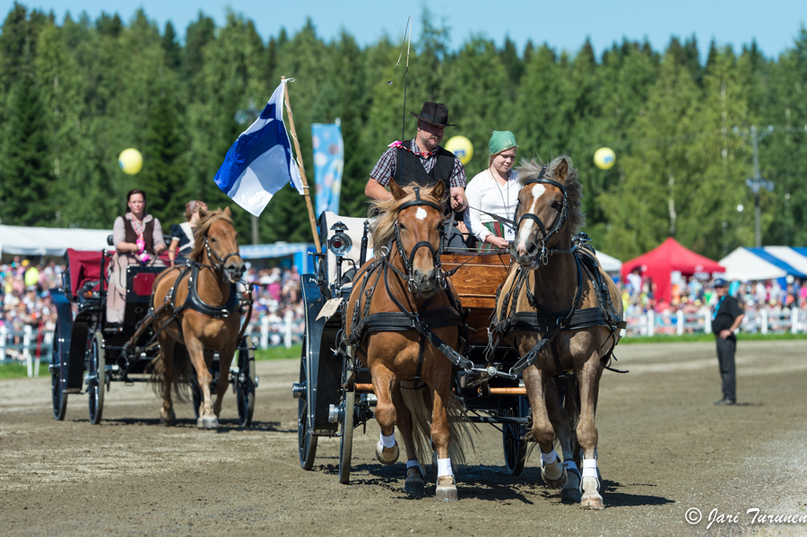 27.7.2013 - (Kuninkuusravit)