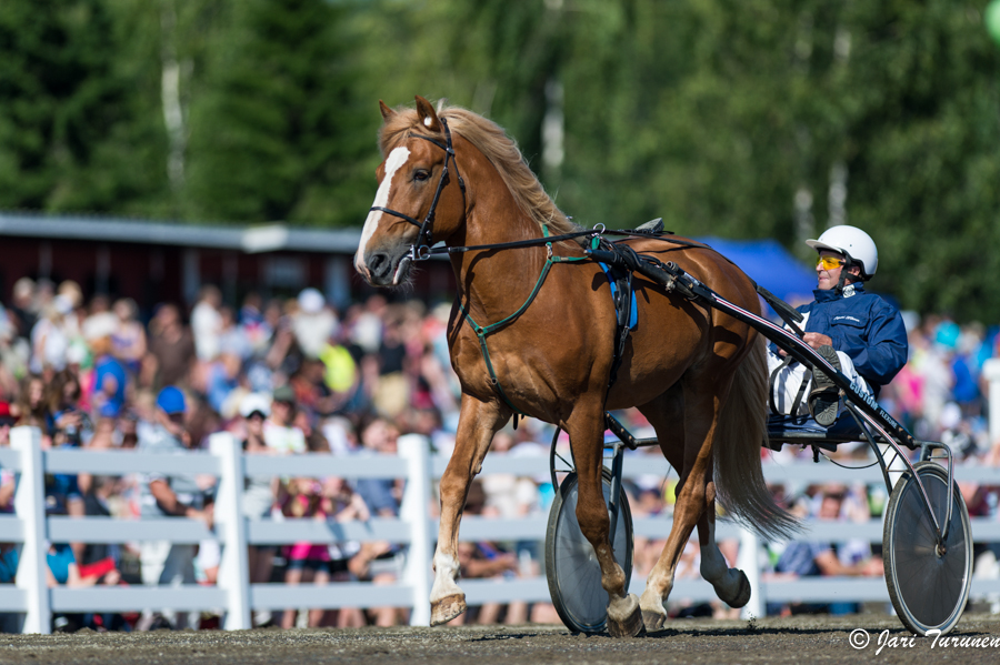 27.7.2013 - (Kuninkuusravit)