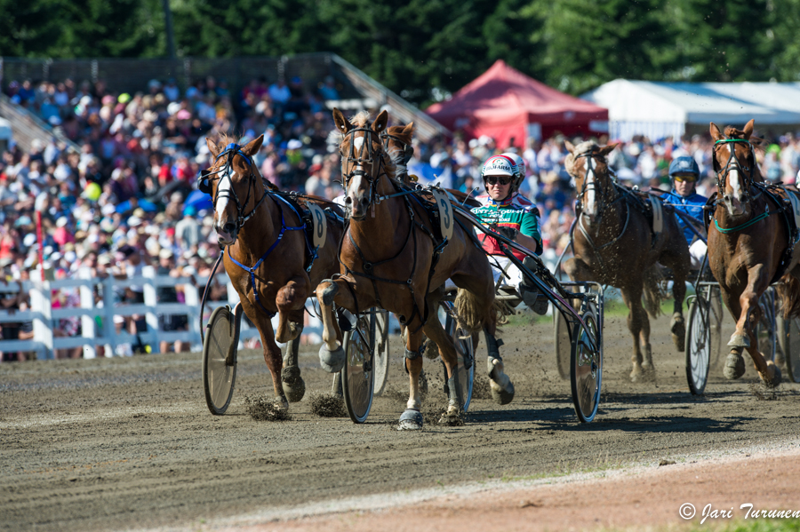 27.7.2013 - (Kuninkuusravit)