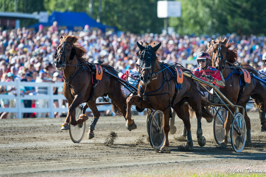 27.7.2013 - (Kuninkuusravit)