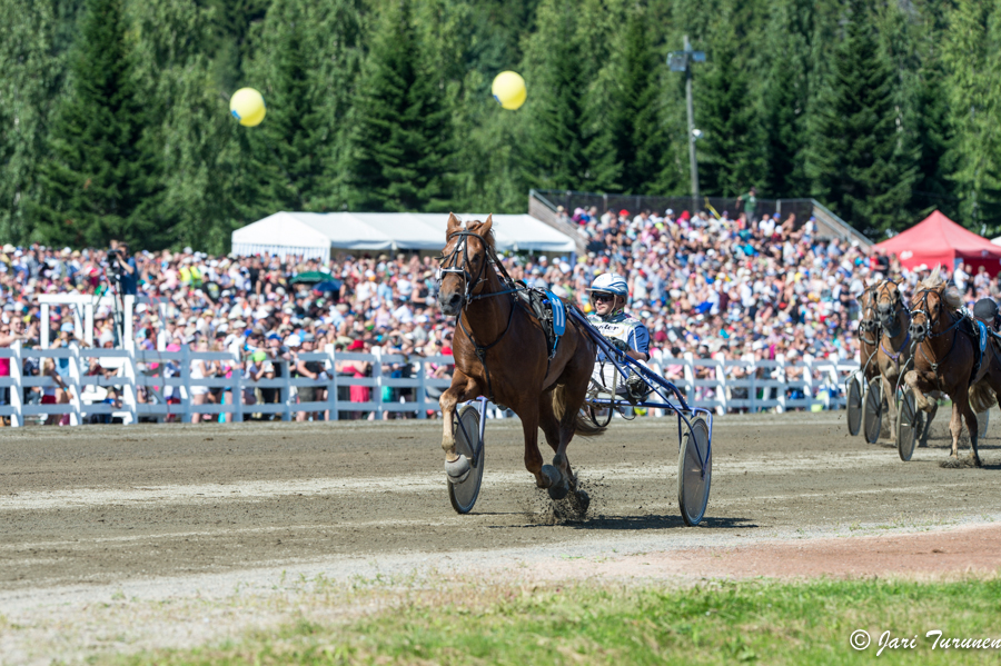 27.7.2013 - (Kuninkuusravit)