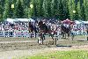 27.7.2013 - (Kuninkuusravit) kuva: 10