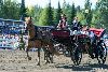 27.7.2013 - (Kuninkuusravit) kuva: 13