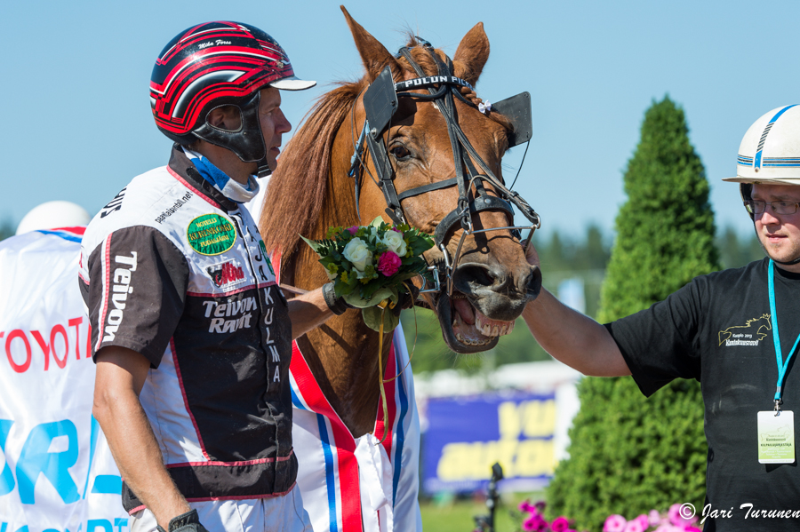 28.7.2013 - (Kuninkuusravit)