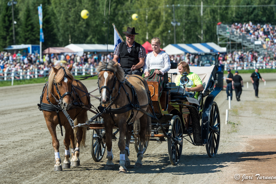 28.7.2013 - (Kuninkuusravit)