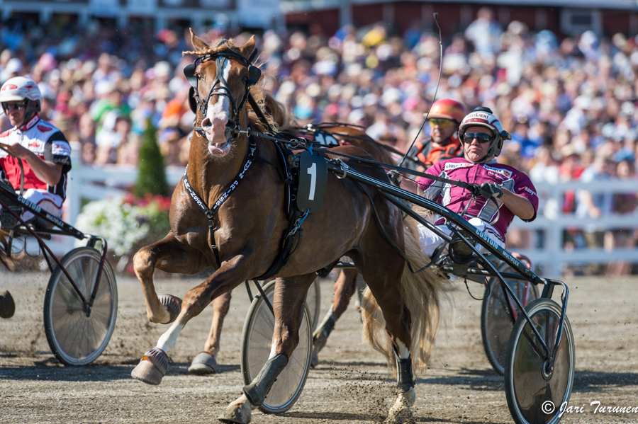 28.7.2013 - (Kuninkuusravit)
