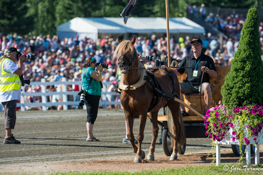 28.7.2013 - (Kuninkuusravit)