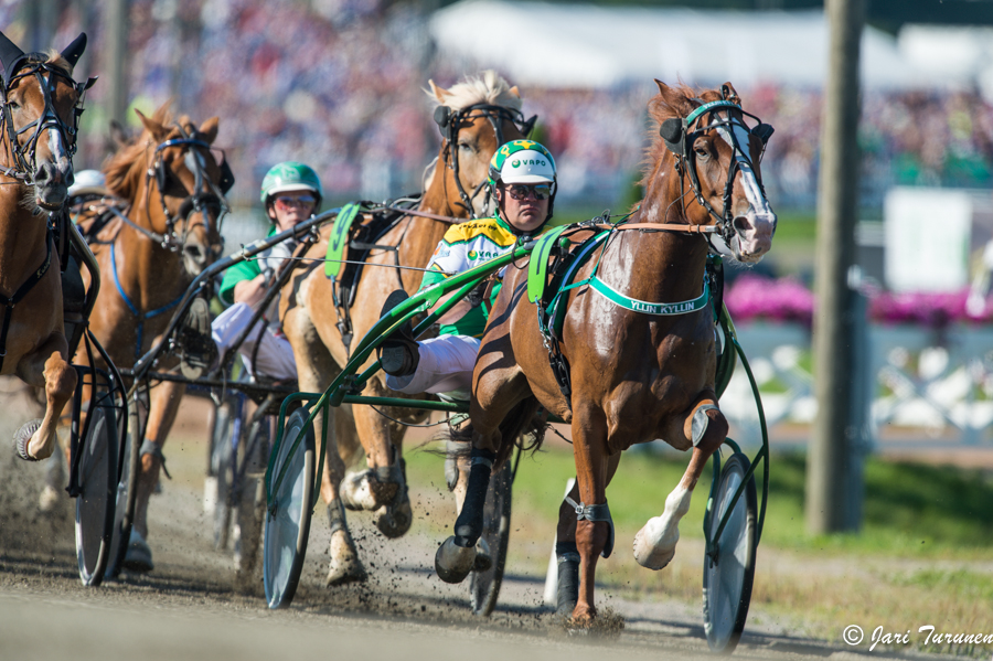 28.7.2013 - (Kuninkuusravit)