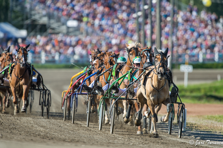 28.7.2013 - (Kuninkuusravit)