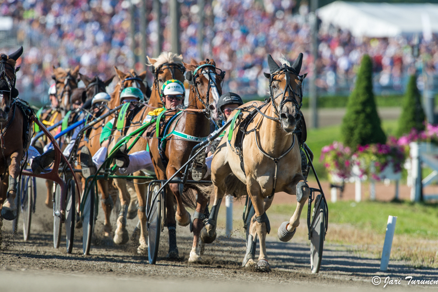 28.7.2013 - (Kuninkuusravit)