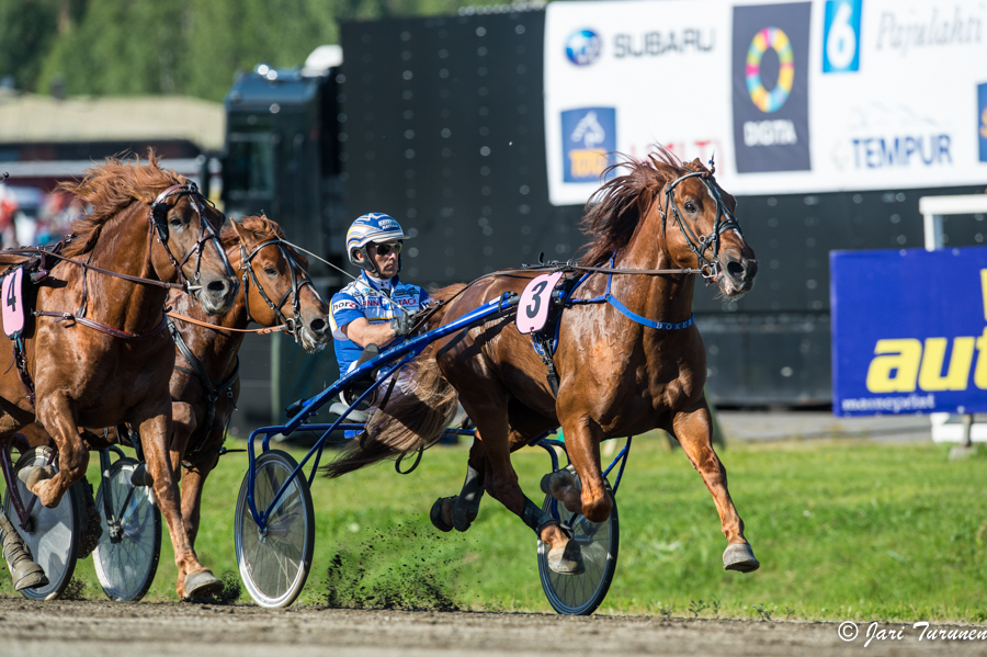 28.7.2013 - (Kuninkuusravit)