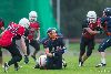 10.8.2013 - (Steelers-Bears) kuva: 2