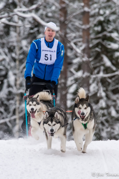16.02.2014-(Koiravaljakko SM)