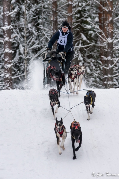 16.02.2014-(Koiravaljakko SM)