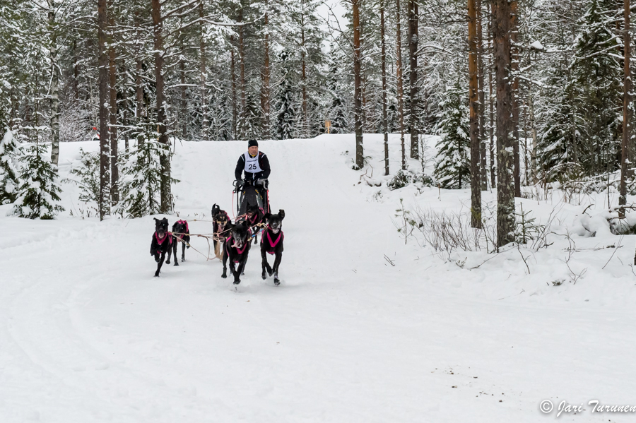 16.02.2014-(Koiravaljakko SM)