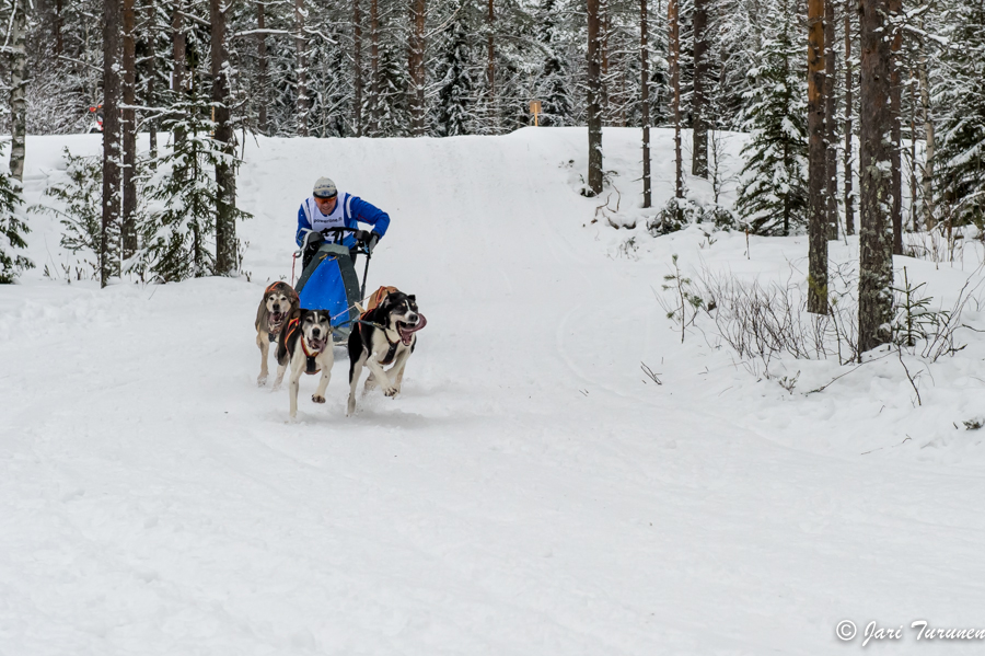 16.02.2014-(Koiravaljakko SM)