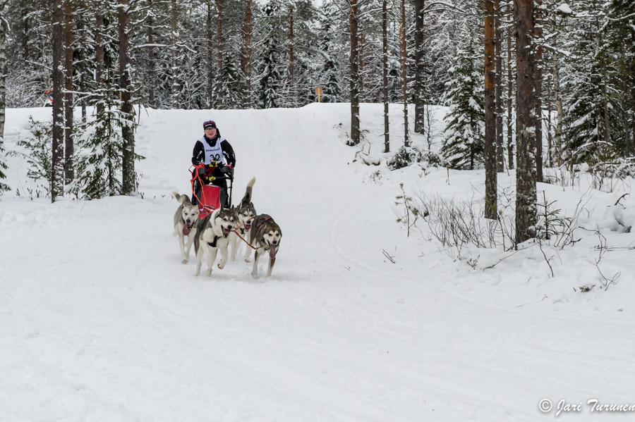 16.02.2014-(Koiravaljakko SM)