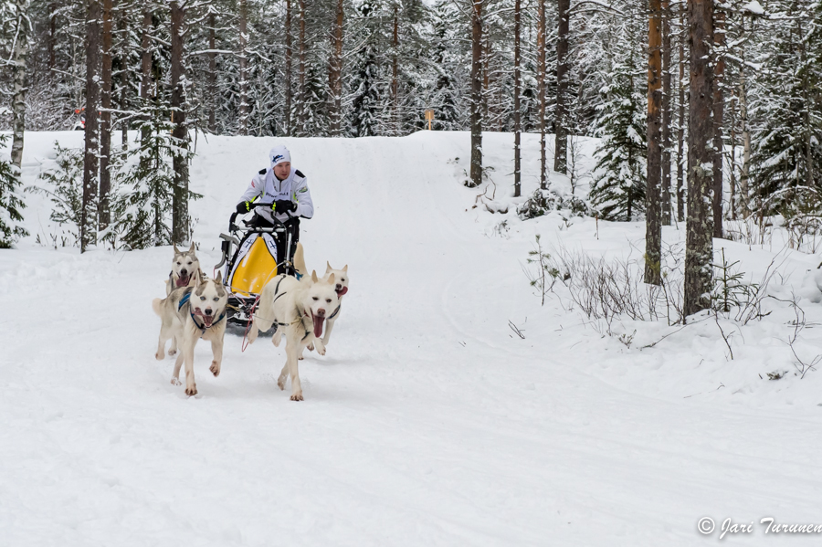 16.02.2014-(Koiravaljakko SM)