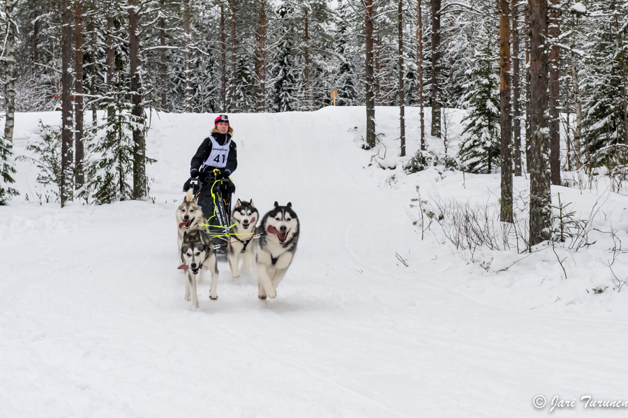 16.02.2014-(Koiravaljakko SM)