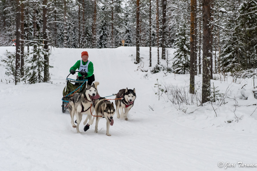 16.02.2014-(Koiravaljakko SM)