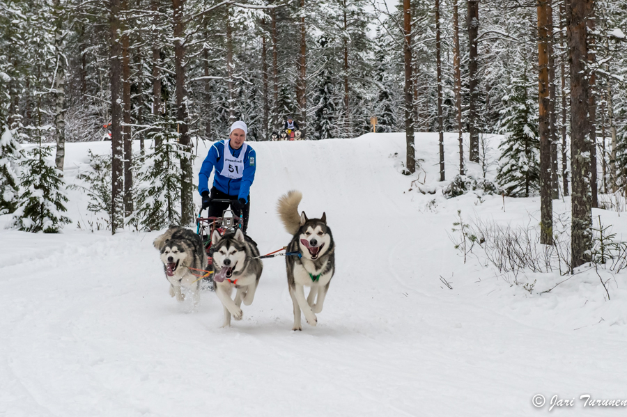 16.02.2014-(Koiravaljakko SM)