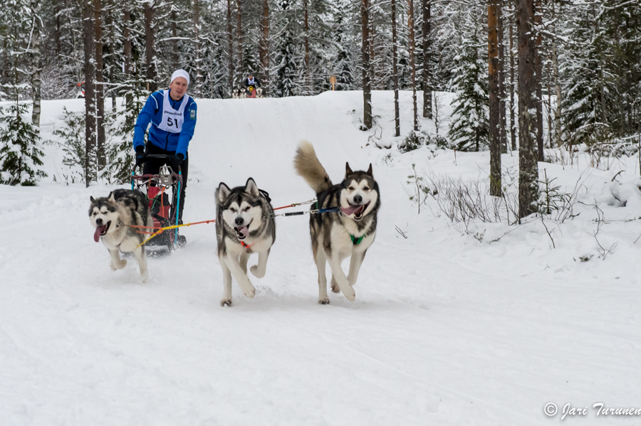 16.02.2014-(Koiravaljakko SM)