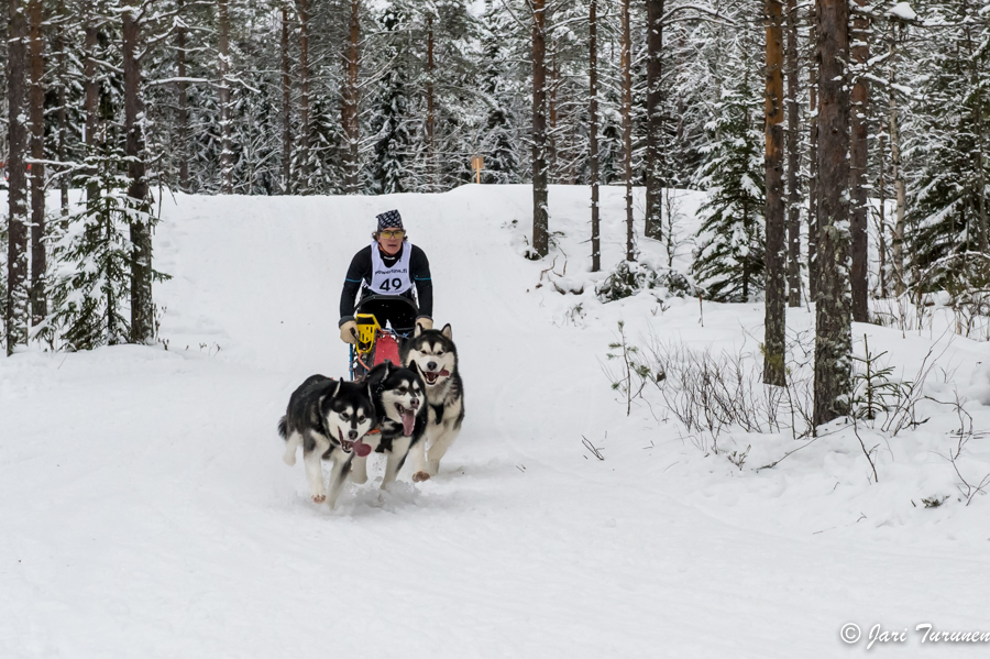 16.02.2014-(Koiravaljakko SM)