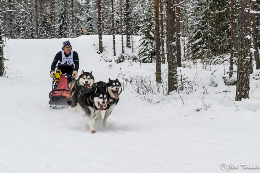 16.02.2014-(Koiravaljakko SM)