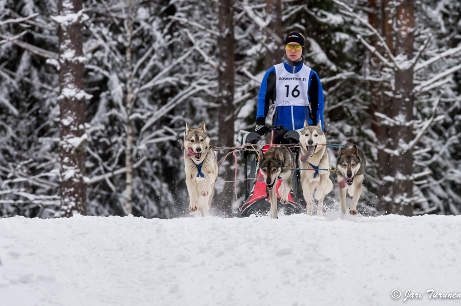 16.02.2014-(Koiravaljakko SM)