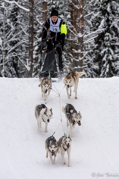 16.02.2014-(Koiravaljakko SM)