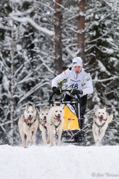 16.02.2014-(Koiravaljakko SM)