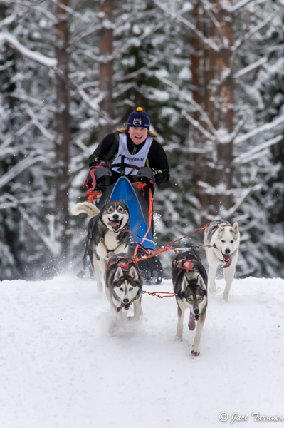16.02.2014-(Koiravaljakko SM)