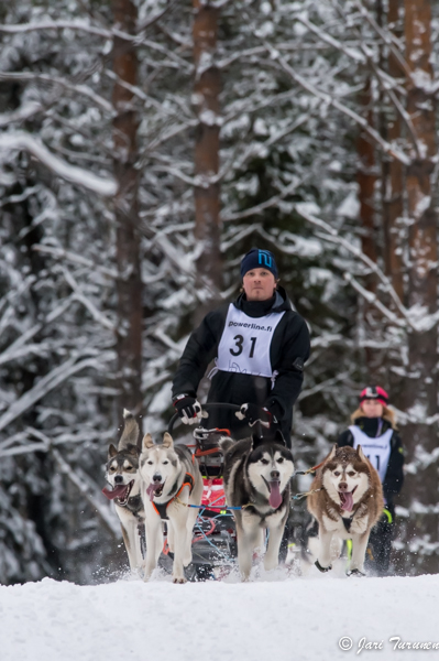 16.02.2014-(Koiravaljakko SM)