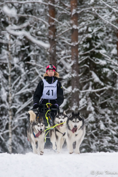 16.02.2014-(Koiravaljakko SM)