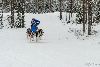 16.02.2014-(Koiravaljakko SM) kuva: 27