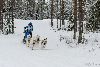 16.02.2014-(Koiravaljakko SM) kuva: 29
