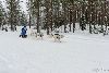 16.02.2014-(Koiravaljakko SM) kuva: 30