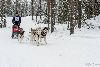 16.02.2014-(Koiravaljakko SM) kuva: 38
